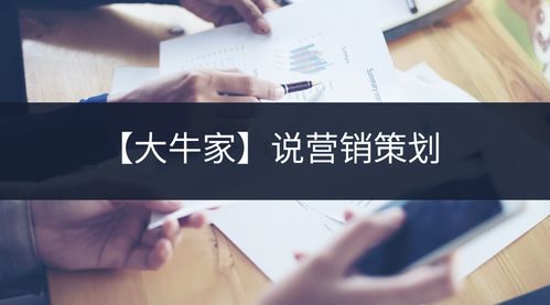 大牛家 營銷策劃與企業咨詢的雙輪驅動之道